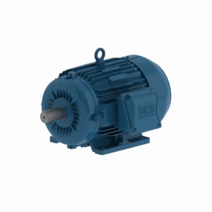MOTOR TRIFÁSICO
